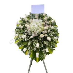 Lagrima con parante 01