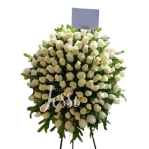 Lagrima con parante 12