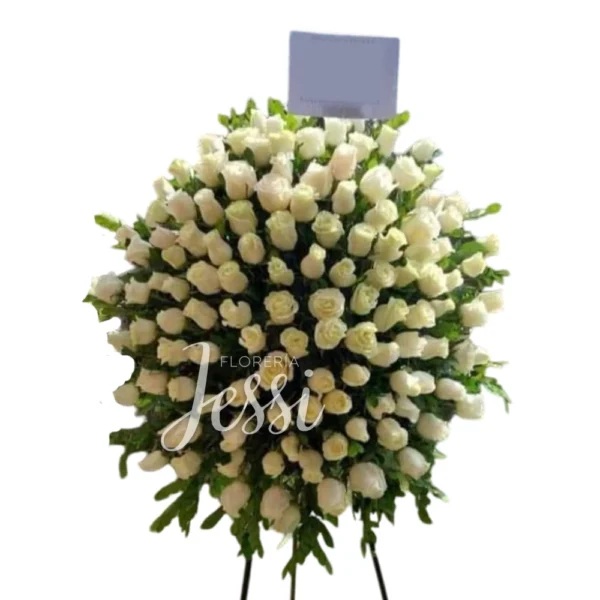 Lagrima con parante 12