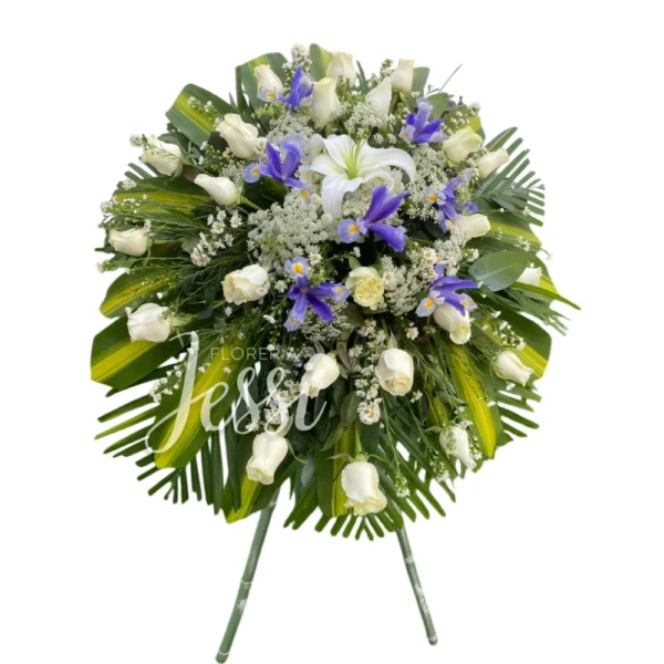 Lagrima con parante 06